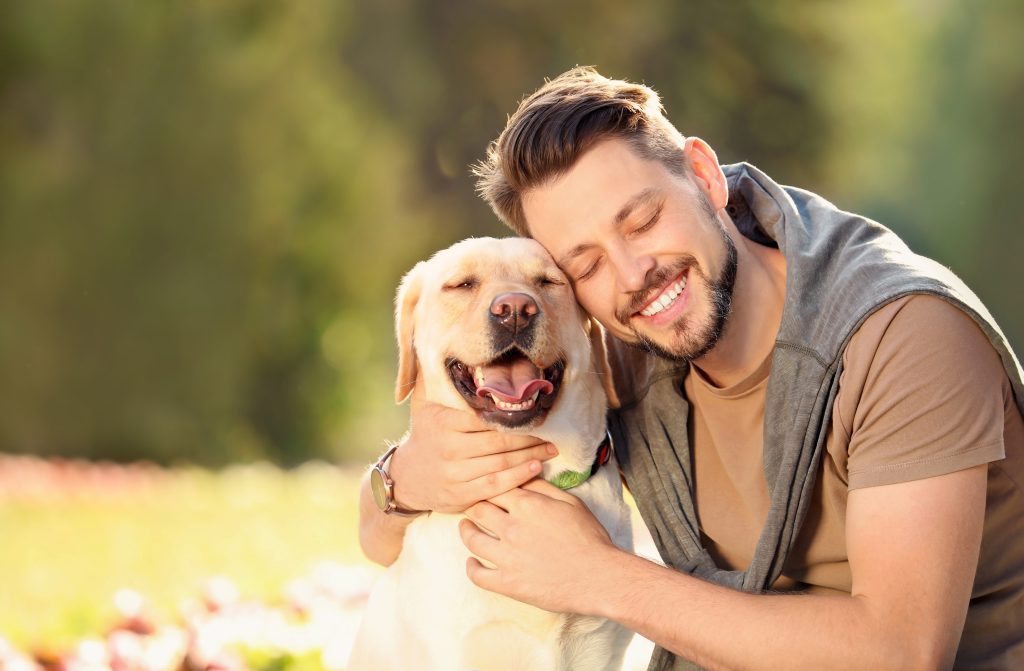 Cute yellow labrador retriever with owner outdoors